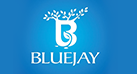 bluejay